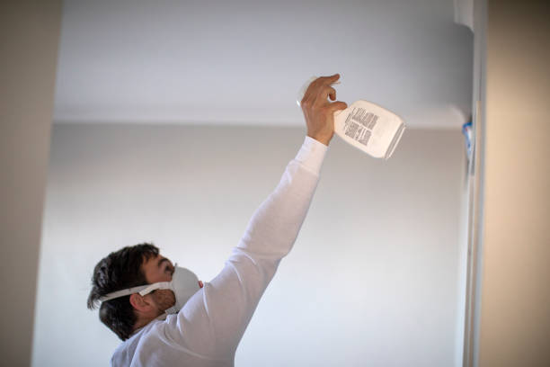 Best Home Mold Removal  in Cedar Grove, WI