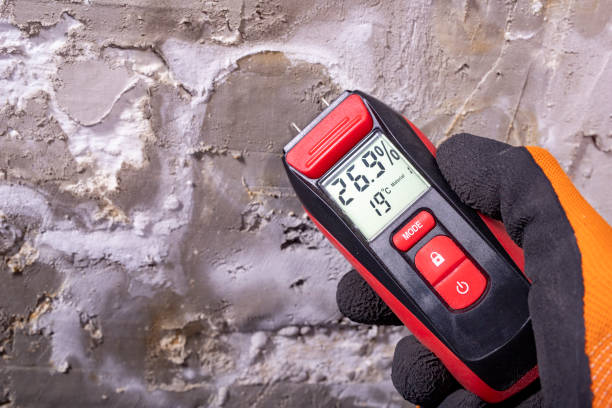 Best Toxic Mold Removal  in Cedar Grove, WI