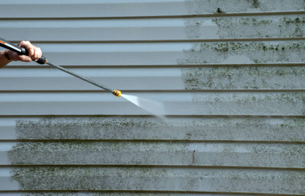 Best Residential Mold Removal  in Cedar Grove, WI